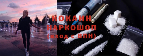 крисы Абаза