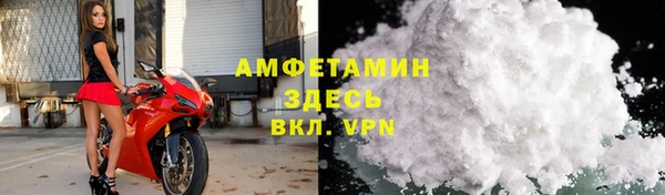 крисы Абаза