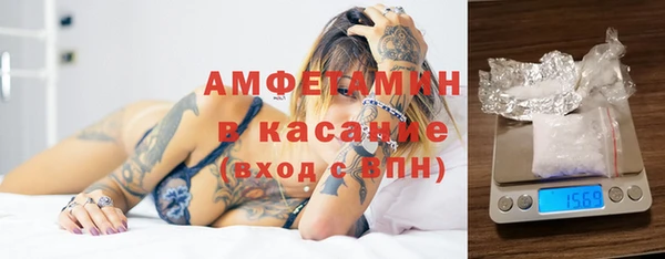 крисы Абаза