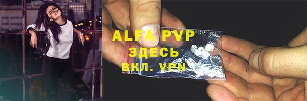 крисы Абаза