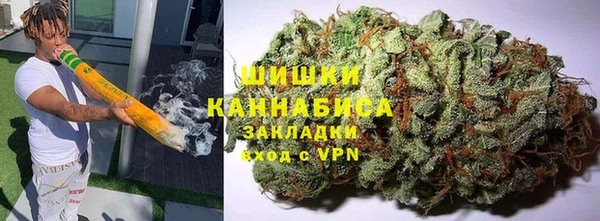 крисы Абаза