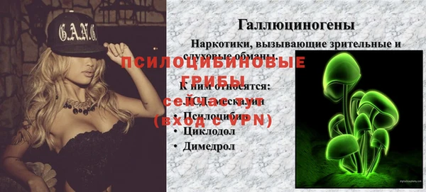 ешки Абдулино