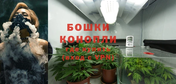 крисы Абаза